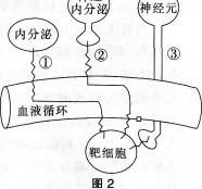 2016年教师资格证考试生物学科知识与教学能力(高级中学)深度押密卷(3)