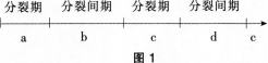 2016年教师资格证考试《生物学科知识与教学能力(初级中学)》深度押密卷(2)