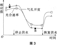 2016年教师资格证考试《生物学科知识与教学能力(初级中学)》深度押密卷(4)