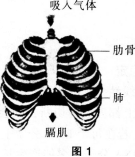 2016年教师资格证考试《生物学科知识与教学能力(初级中学)》深度押密卷(5)