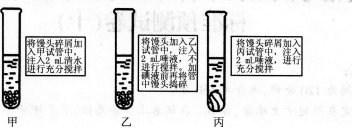 2016年教师资格证考试《生物学科知识与教学能力(初级中学)》深度押密卷(5)