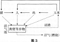 2016年教师资格证考试《生物学科知识与教学能力(初级中学)》深度押密卷(5)