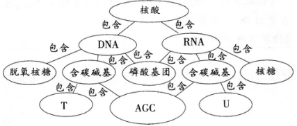 2016年下半年教师资格证考试试题及答案一——生物学科知识与教学能力(高级中学)