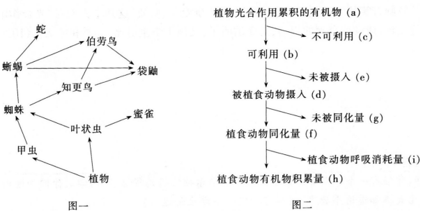 2016年下半年教师资格证考试试题及答案一——生物学科知识与教学能力(高级中学)