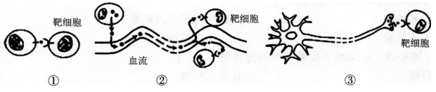 2016年下半年教师资格证考试试题及答案一——生物学科知识与教学能力(高级中学)