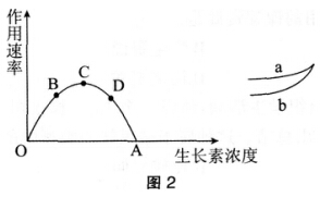 2016年下半年教师资格证考试试题及答案二——生物学科知识与教学能力(高级中学)