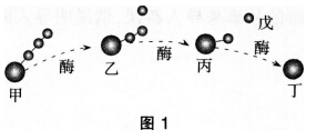 2016年下半年教师资格证考试试题及答案四——生物学科知识与教学能力(高级中学)