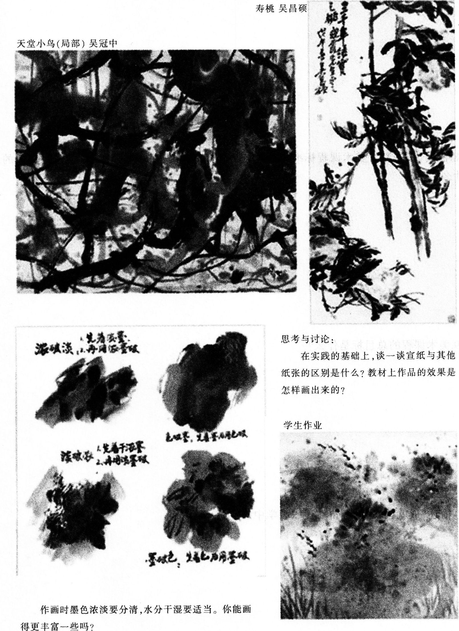 2016年下半年教师资格证考试试题及答案四——美术学科知识与教学能力(初级中学)