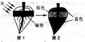 2016年下半年教师资格证考试试题及答案五——生物学科知识与教学能力(初级中学)