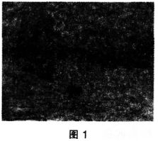 2016年下半年教师资格证考试试题及答案一——美术学科知识与教学能力(高级中学)