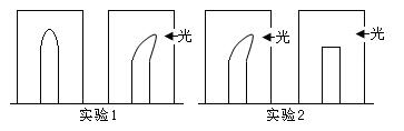 教师资格证考试大纲——《生物学科知识与教学能力》（高级中学）