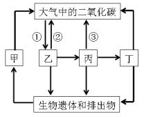 教师资格证考试大纲——《科学学科知识与教学能力》（初级中学）