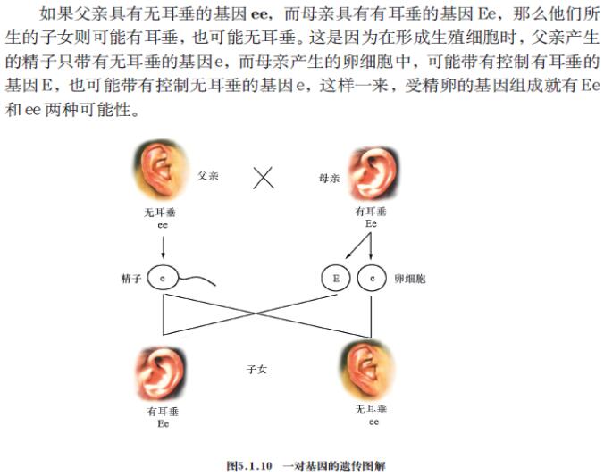 教师资格证考试大纲——《科学学科知识与教学能力》（初级中学）