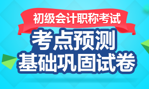 2017年初级会计职称考试基础巩固试卷