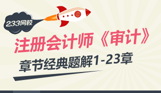 2017年注册会计师考试《审计》经典题解：第1章-第23章