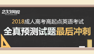 2018年成人高考高起点英语考试冲刺试题及答案