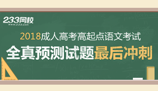 2018年成人高考高起点语文冲刺试题及答案