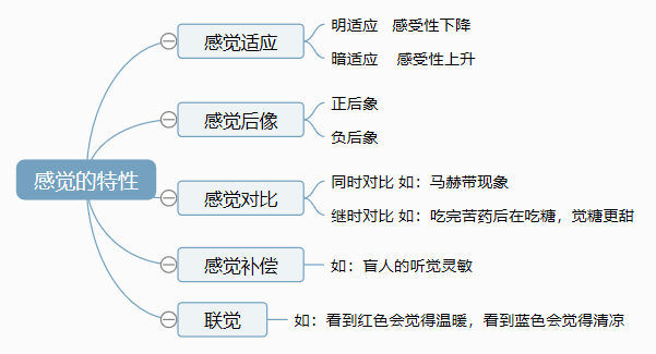 教师资格证考点：感觉的特性