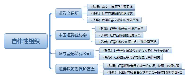 自律性组织.jpg