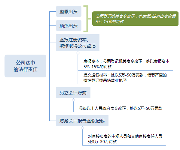 公司法中 的法律责任.png