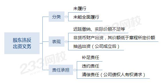 股东违反出资义务.png