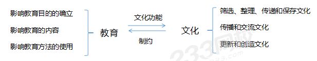 教育与文化的关系.png