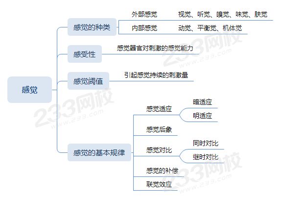 解析感知觉的思维导图图片