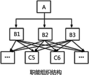 二建施工管理精讲考点：管理的组织