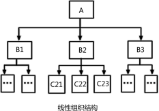 二建施工管理精讲考点：管理的组织