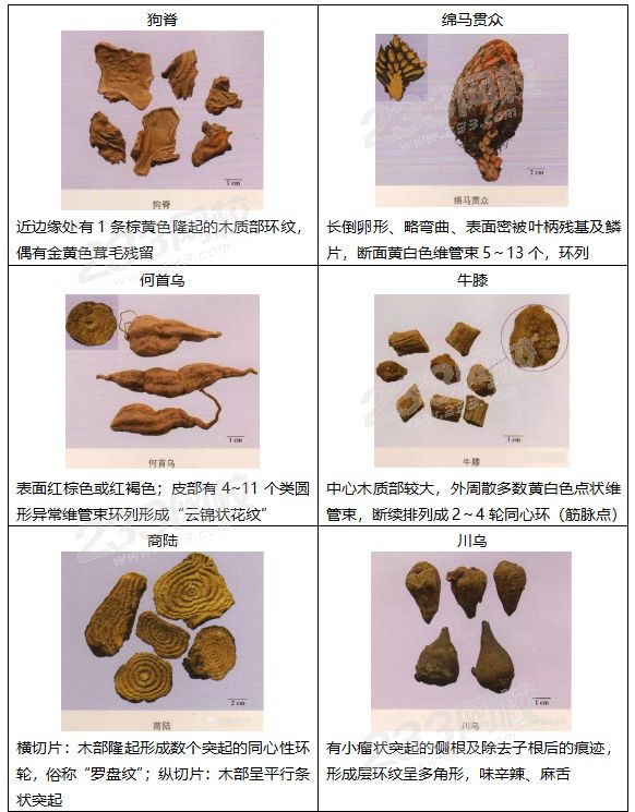 考点包括中药性状的鉴别,看图识药,中药的来源产地等.