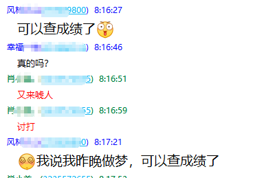 注册会计师成绩查询