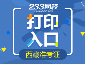 2020年西藏初级会计职称考试准考证打印入口