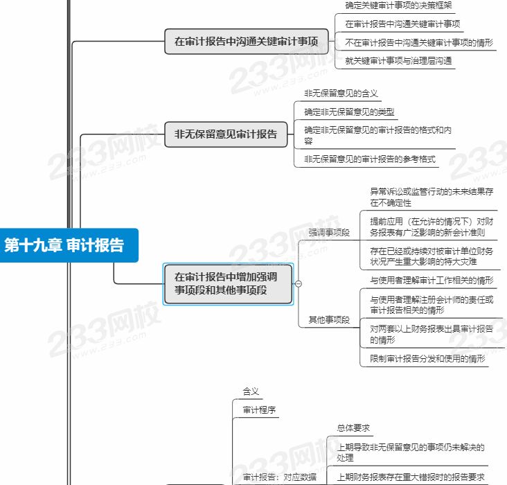 审计第19章思维导图