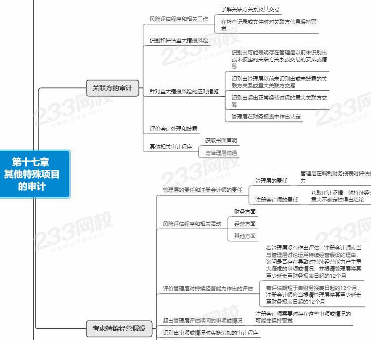 审计第17章思维导图