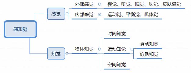 感觉与知觉的关系图图片