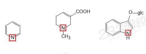 生物碱N.jpg