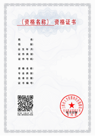 上海市专业技术资格考试电子证书样式