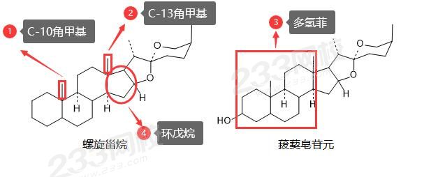 甾体皂苷.jpg