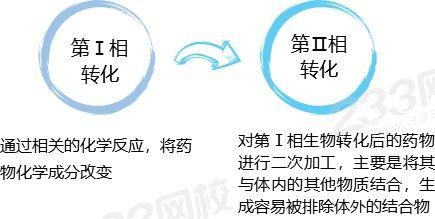 生物转化.jpg