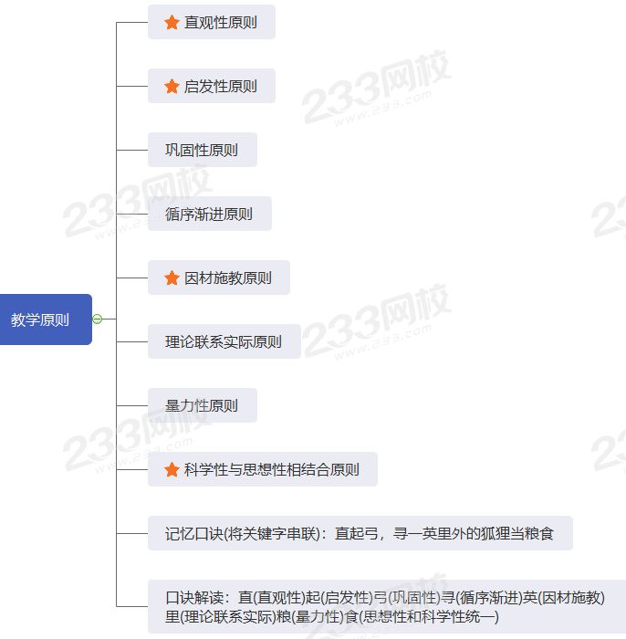 教师资格教学原则.png