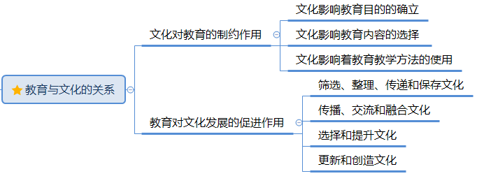 教育与文化的关系.png