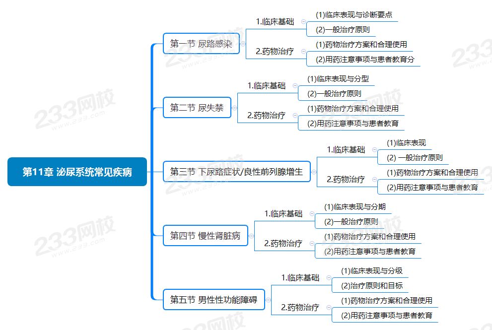 第11章 泌尿系统常见疾病.png