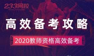 2020教资高效备考-康纳尔笔记法